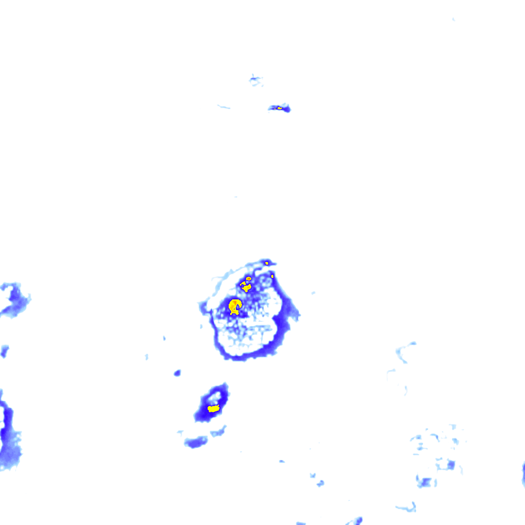 Image Layer