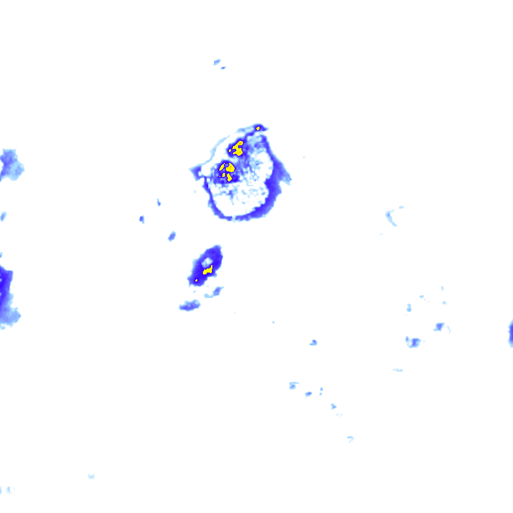 Image Layer