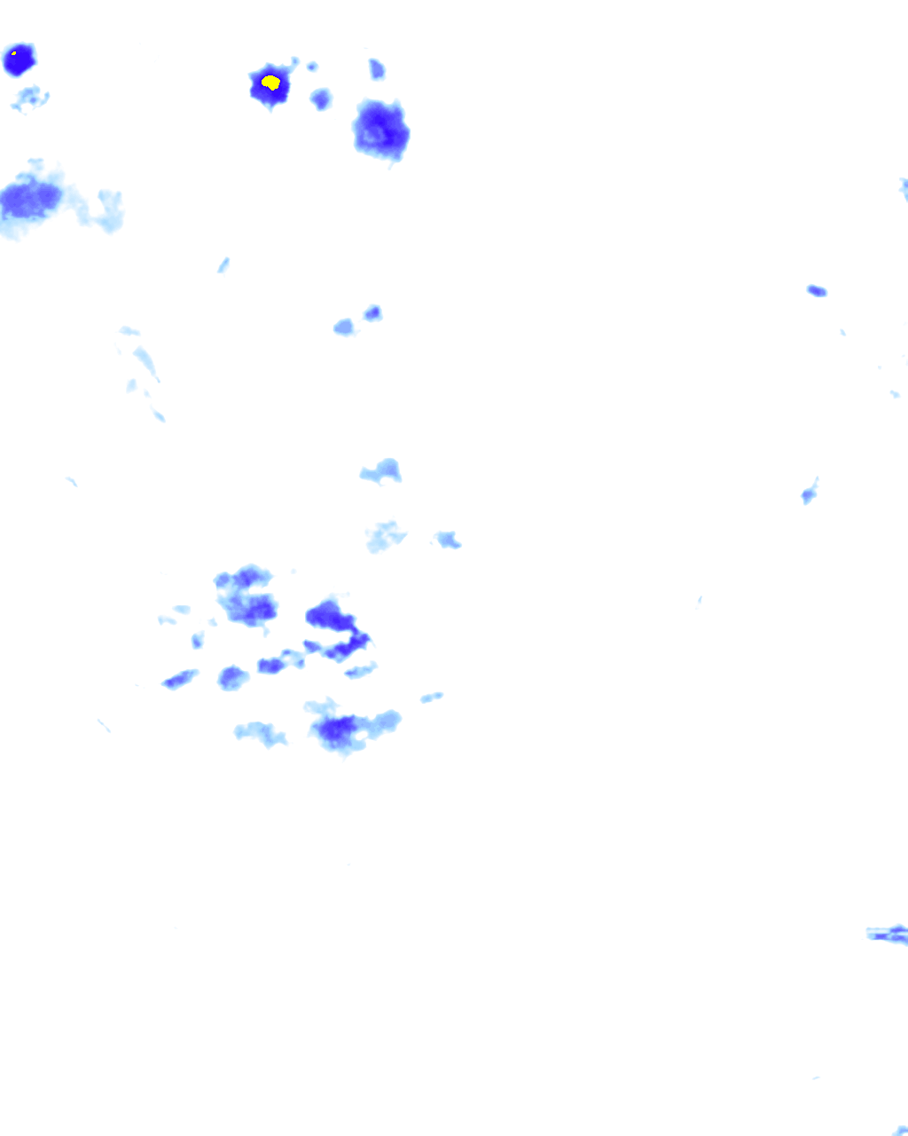 rainLayer