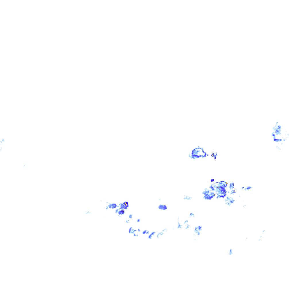 rainLayer