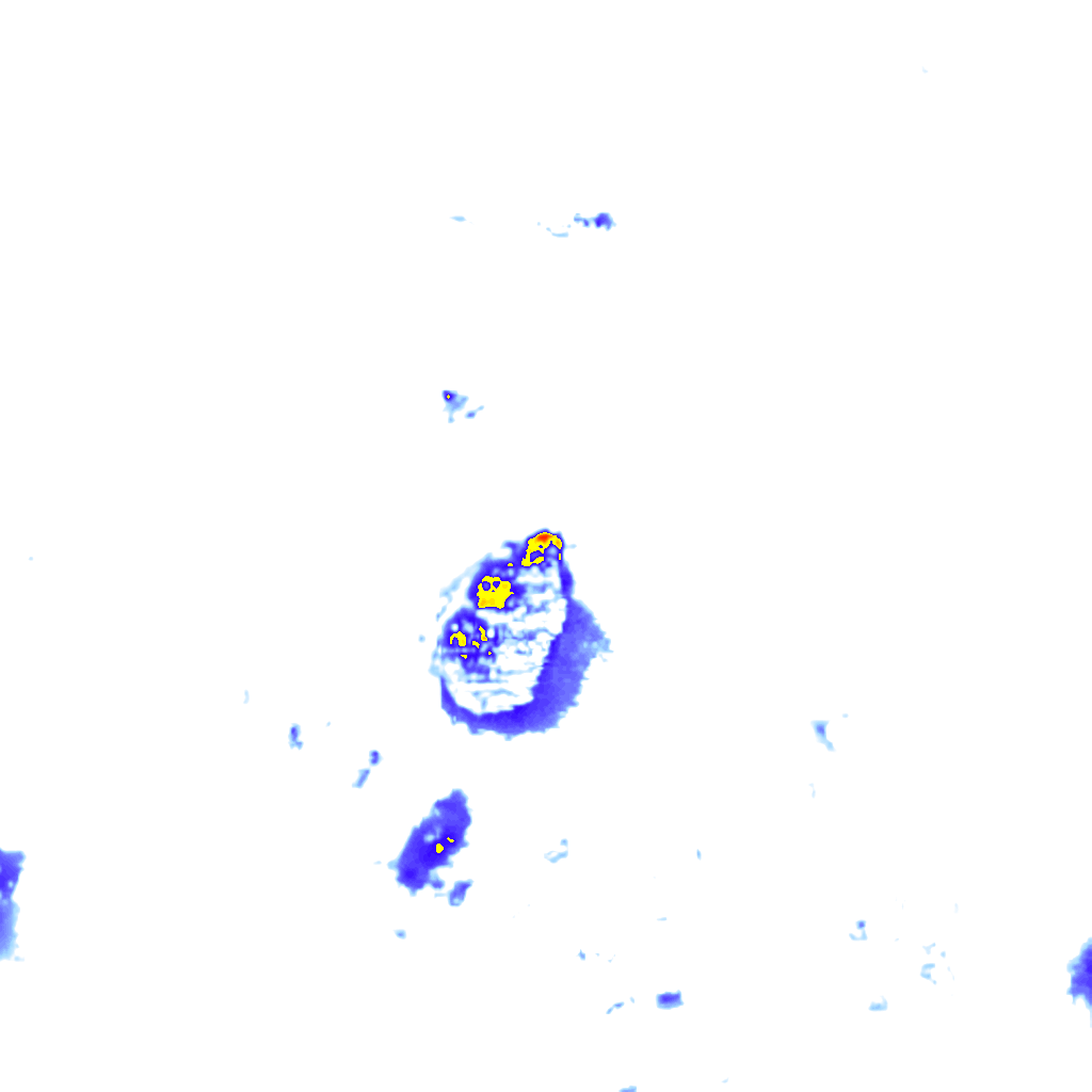 Image Layer