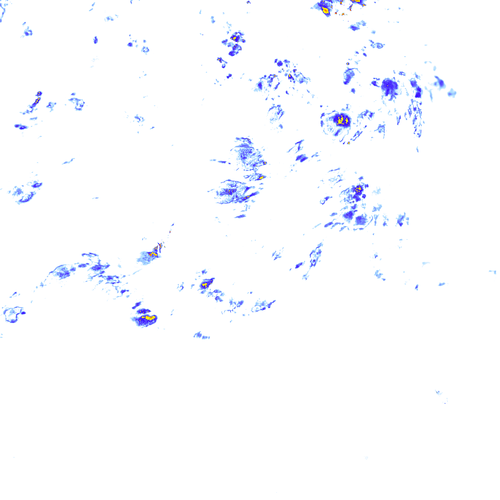 rainLayer