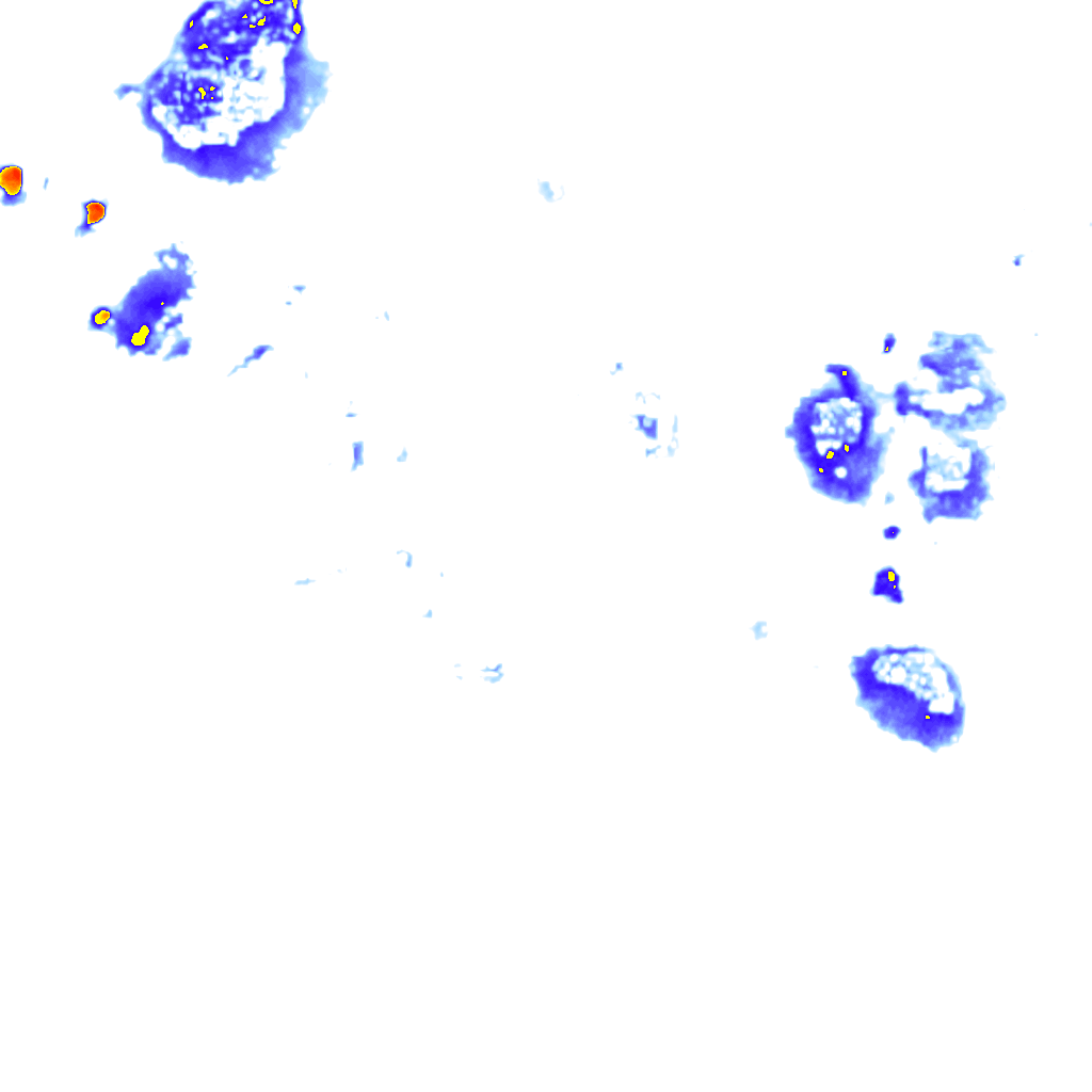 Image Layer
