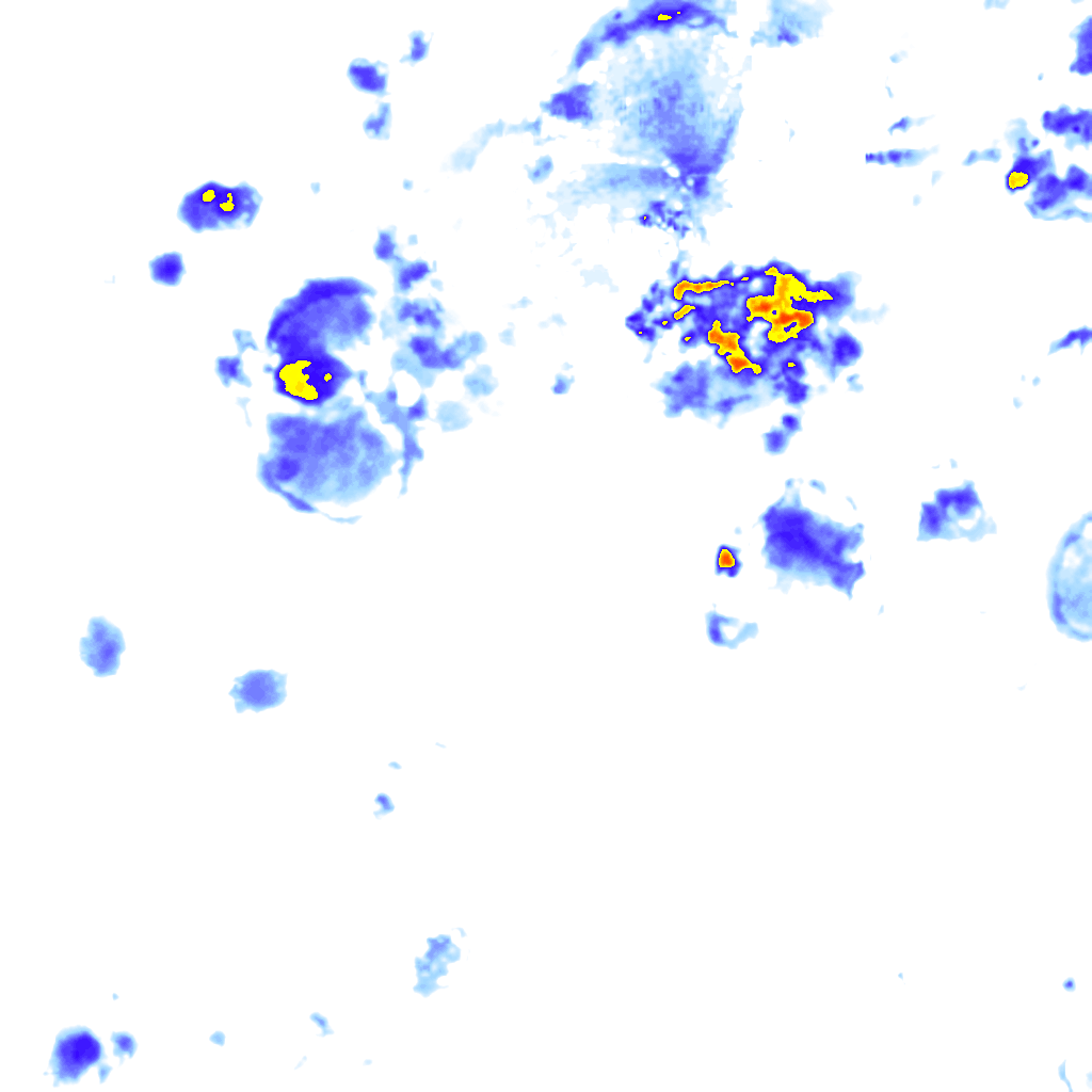 rainLayer