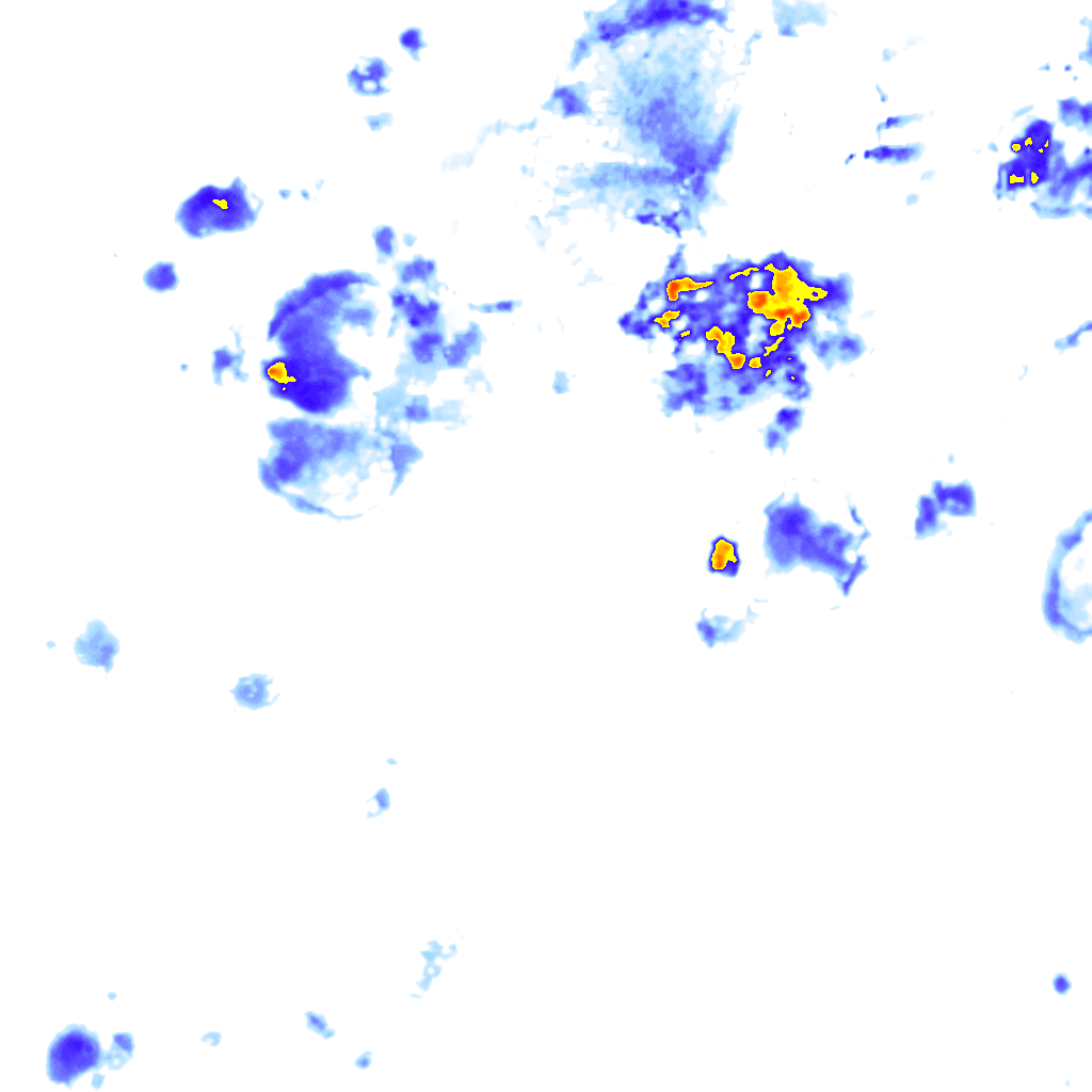 rainLayer