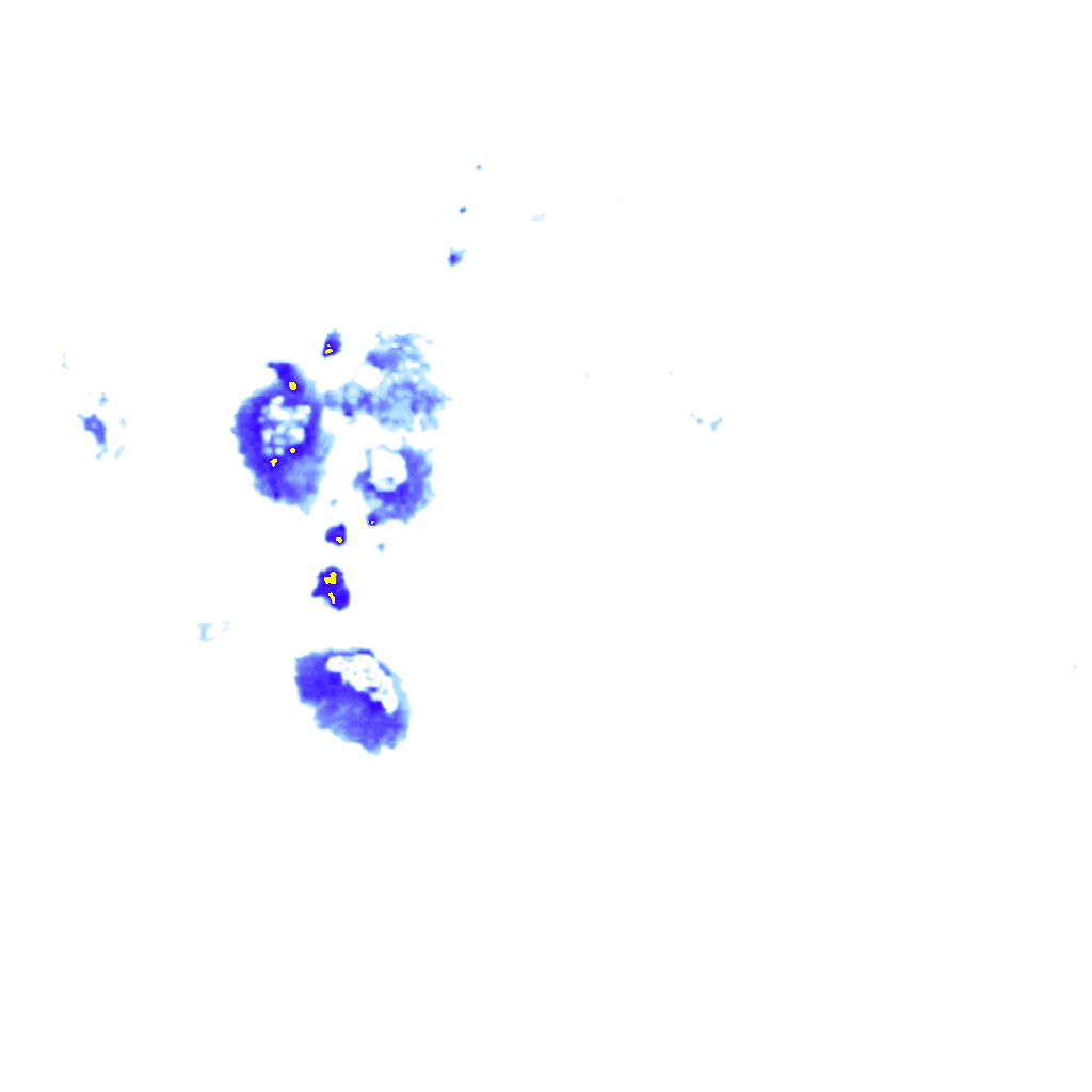 Image Layer