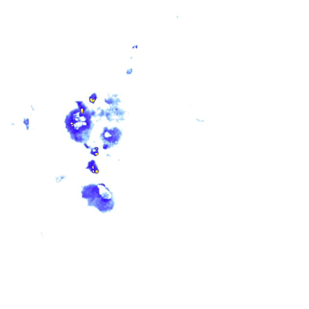 Image Layer