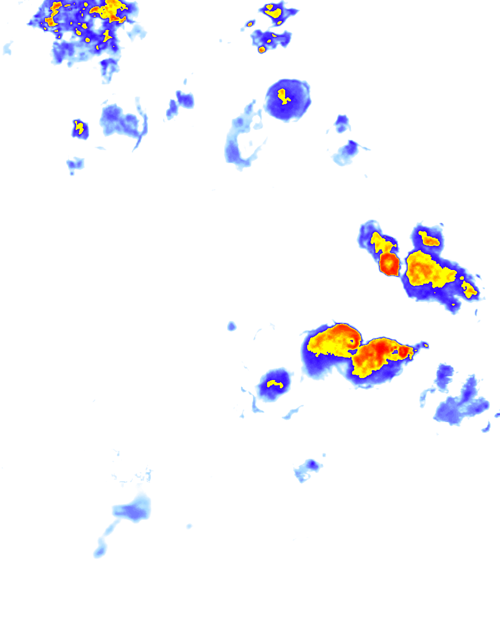 rainLayer