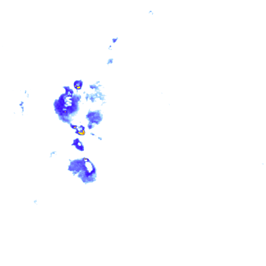Image Layer