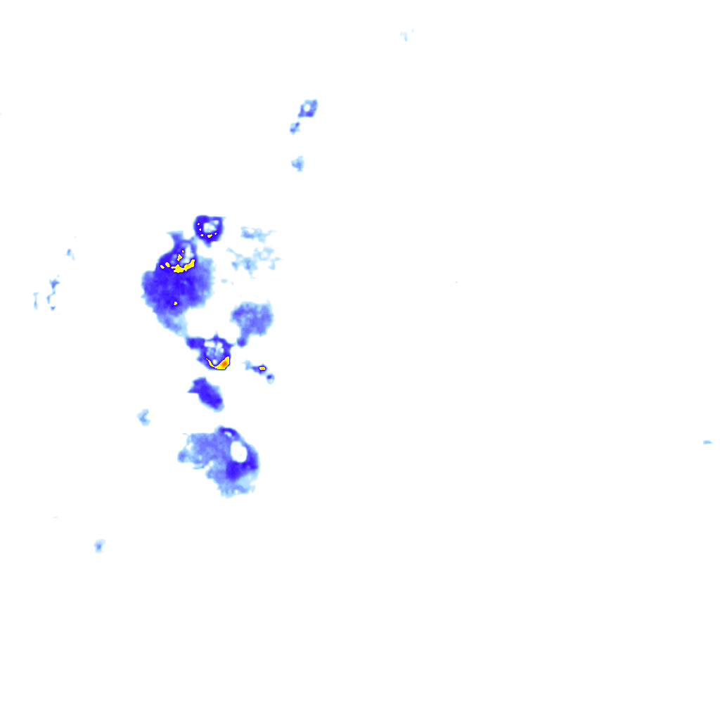 rainLayer