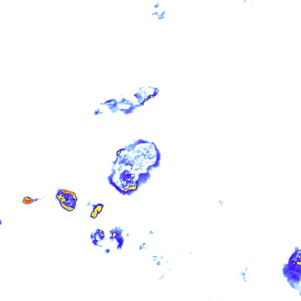 Image Layer
