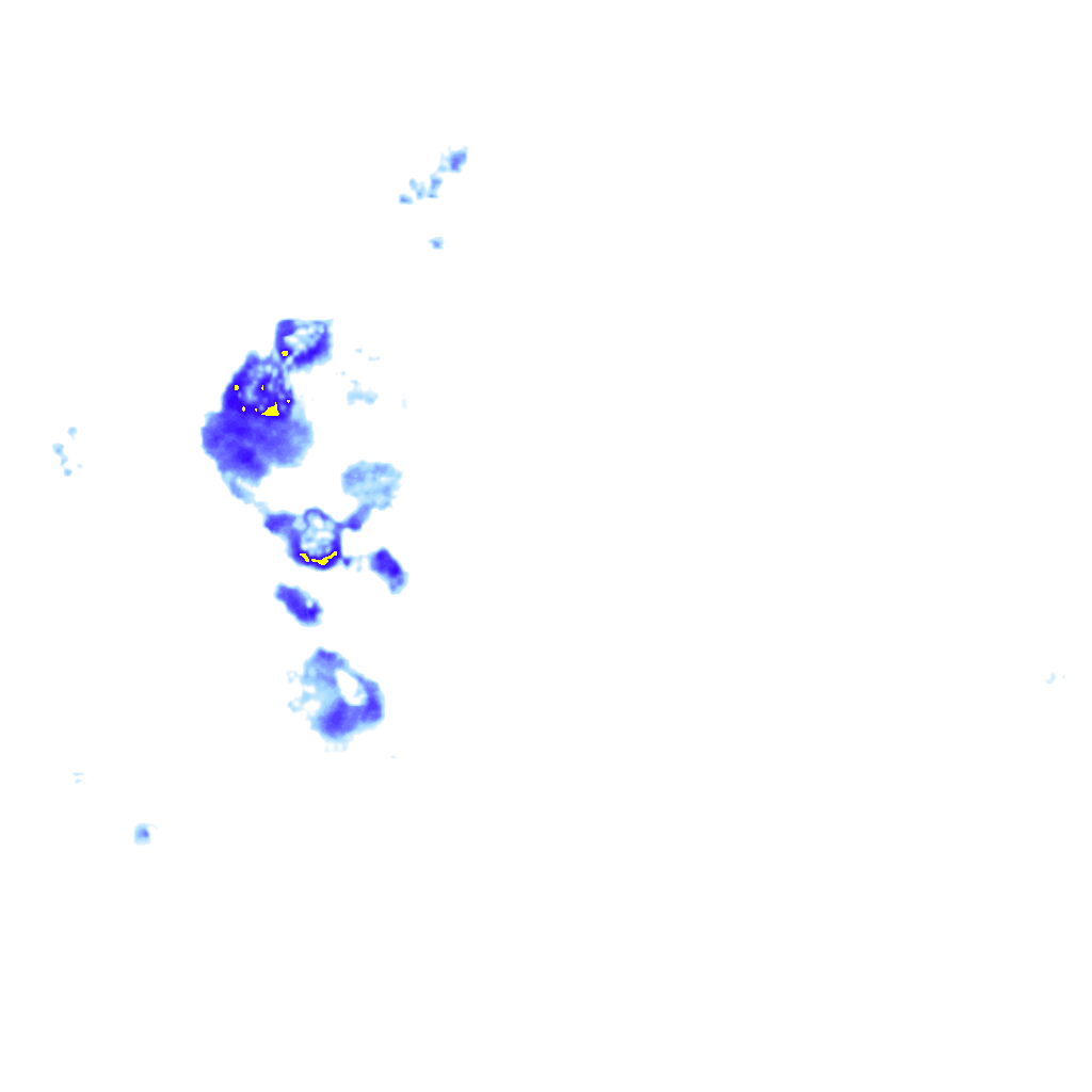 rainLayer