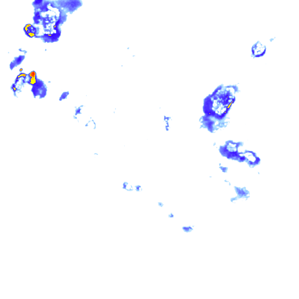 Image Layer