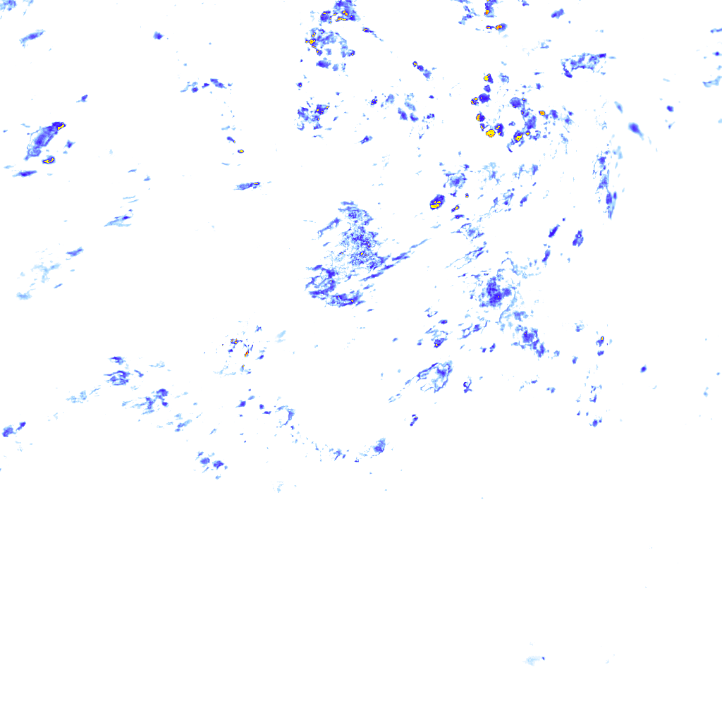 rainLayer