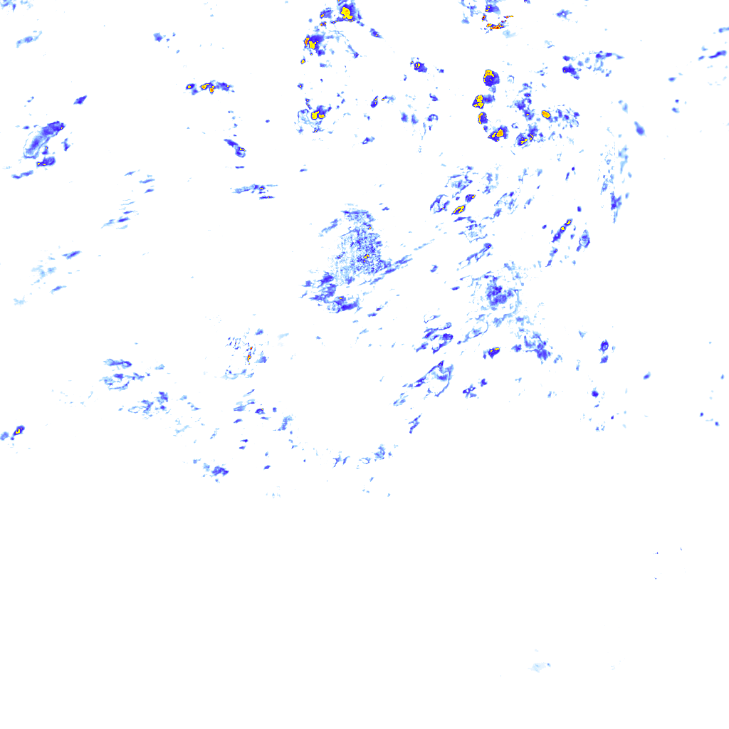 rainLayer
