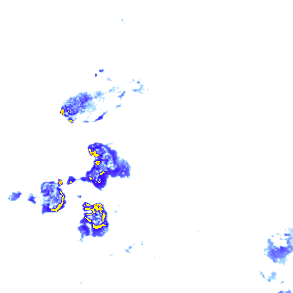 rainLayer