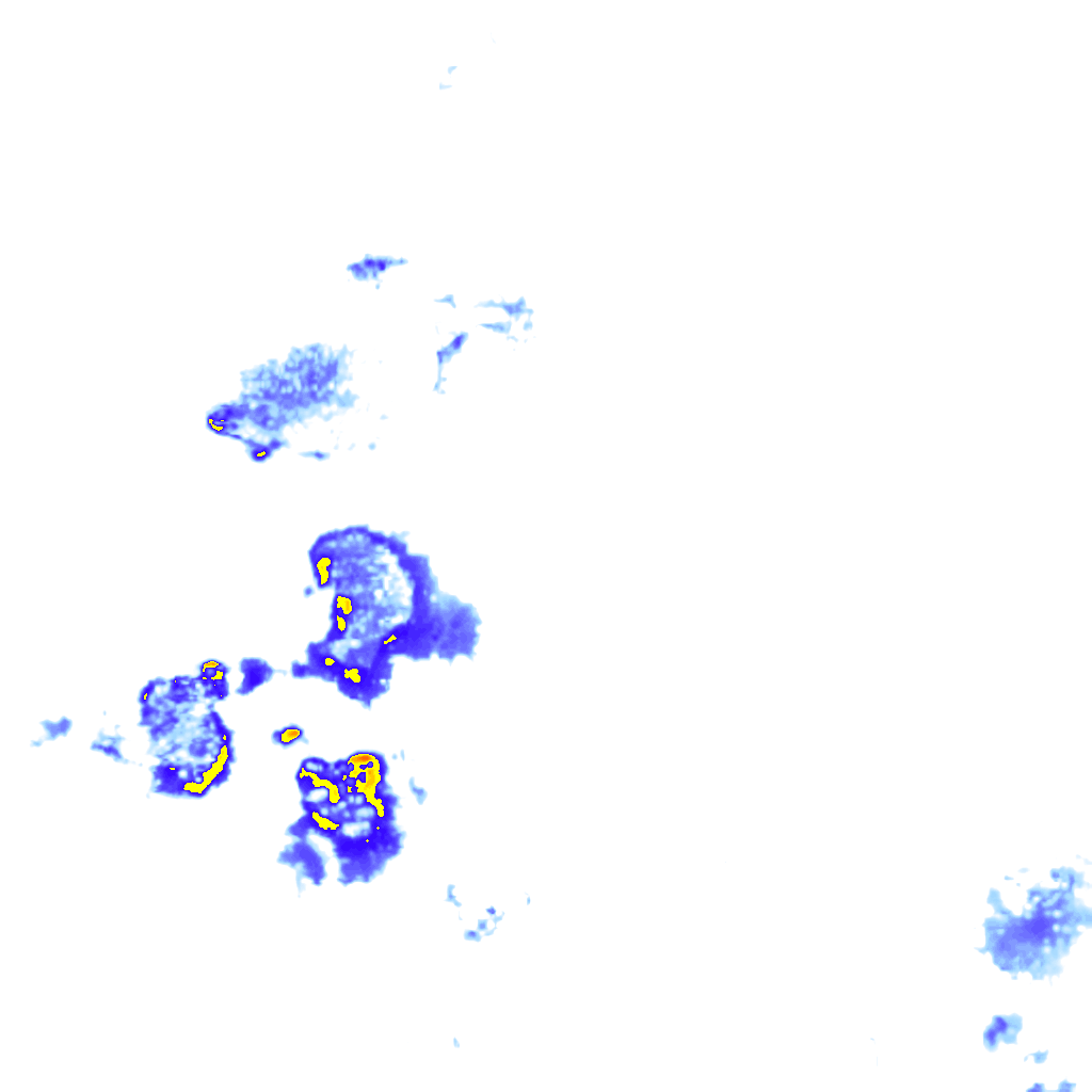 rainLayer