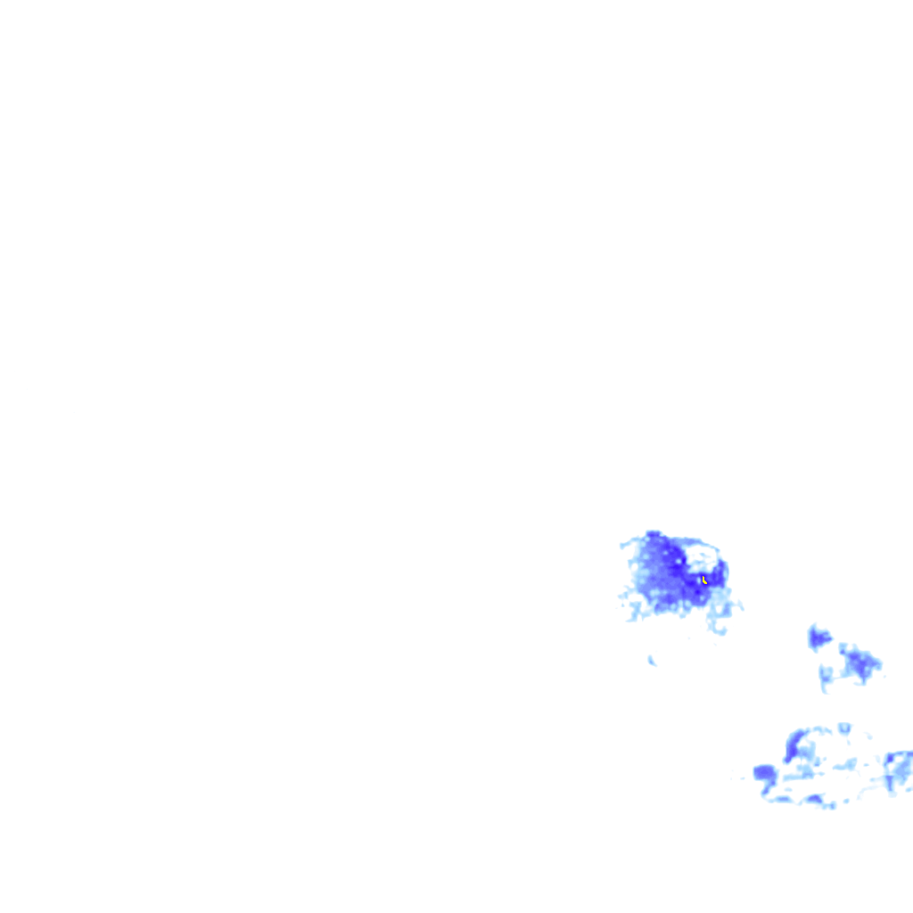 rainLayer