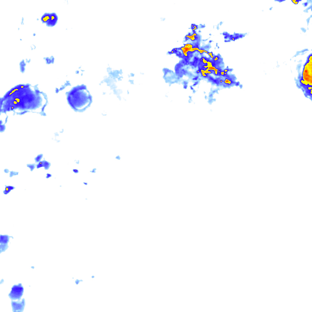 rainLayer