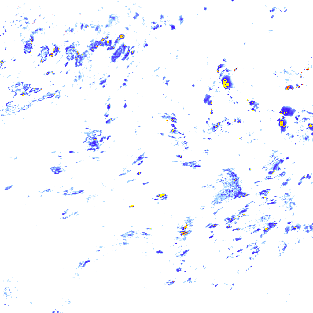 rainLayer