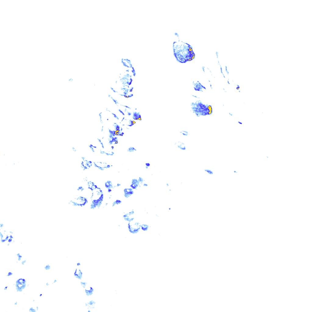 rainLayer
