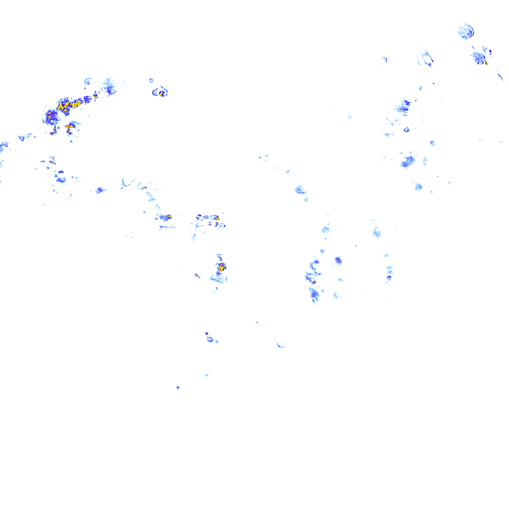 rainLayer