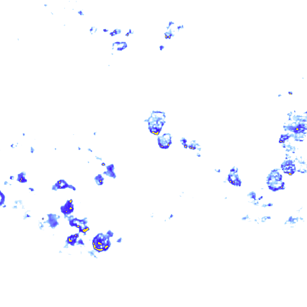 rainLayer