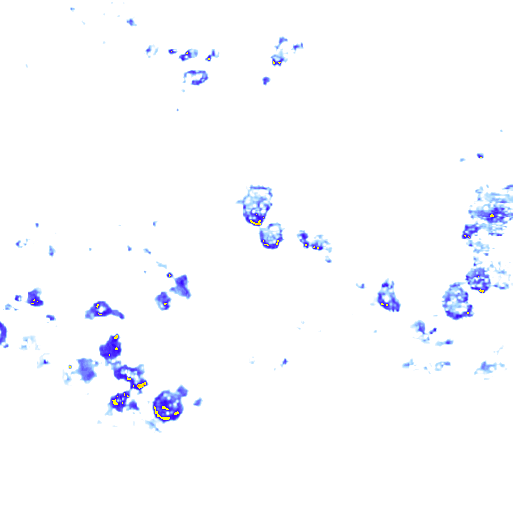 Image Layer