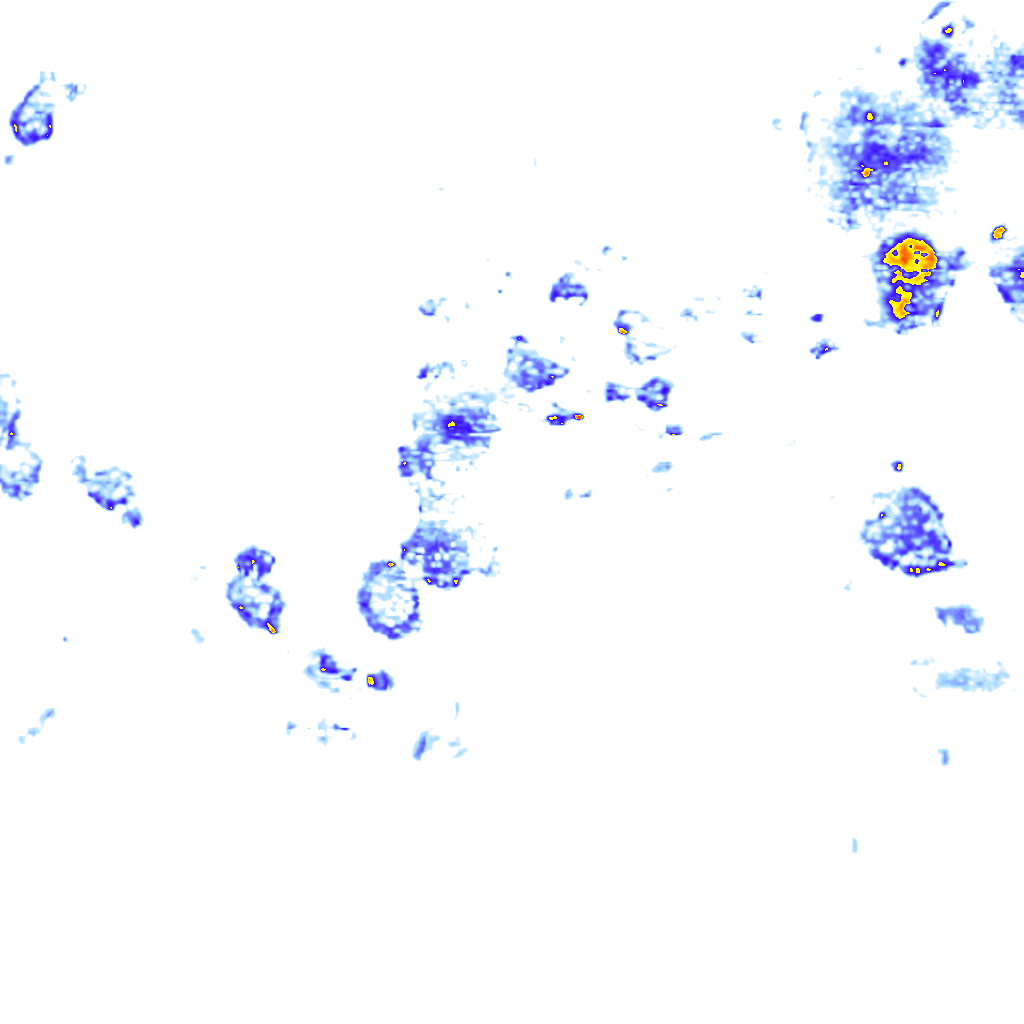 rainLayer