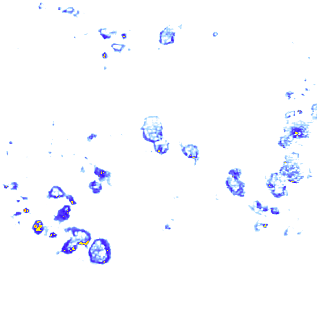 rainLayer