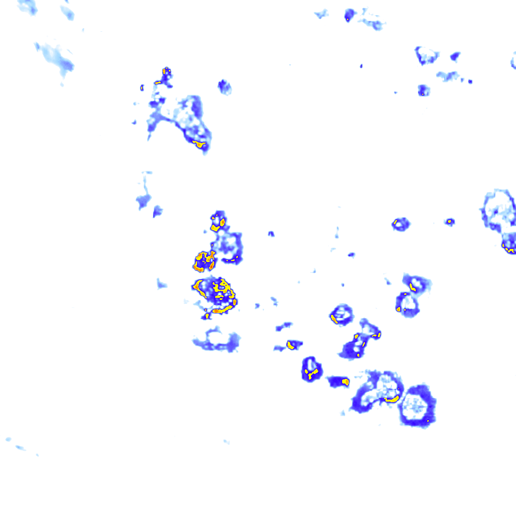 Image Layer