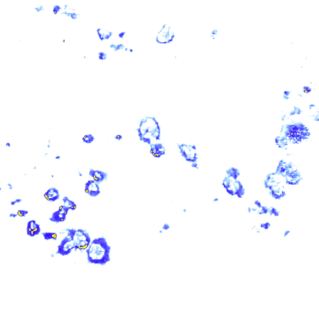 rainLayer