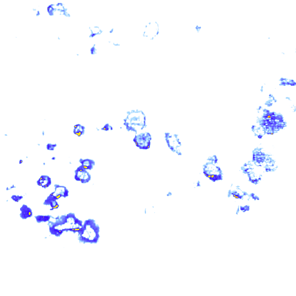 rainLayer