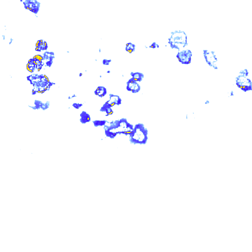 rainLayer