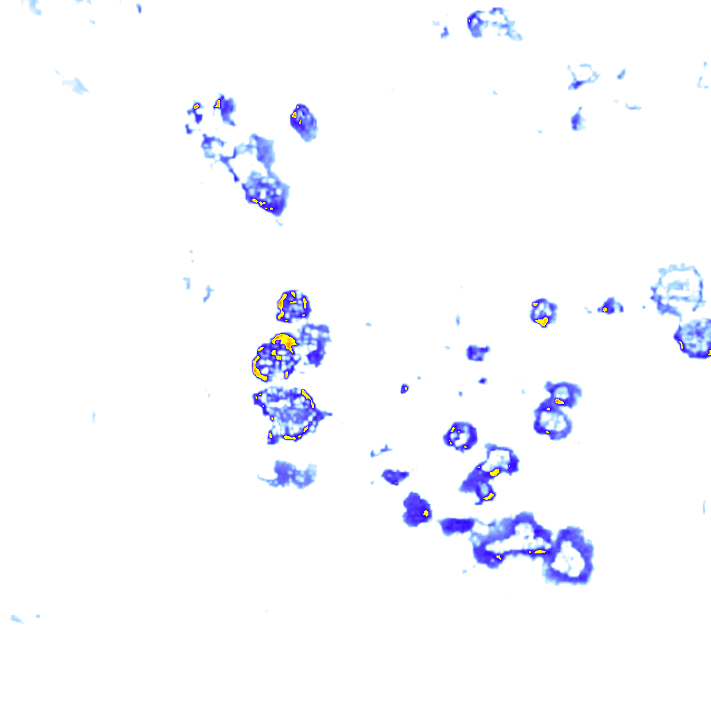 Image Layer