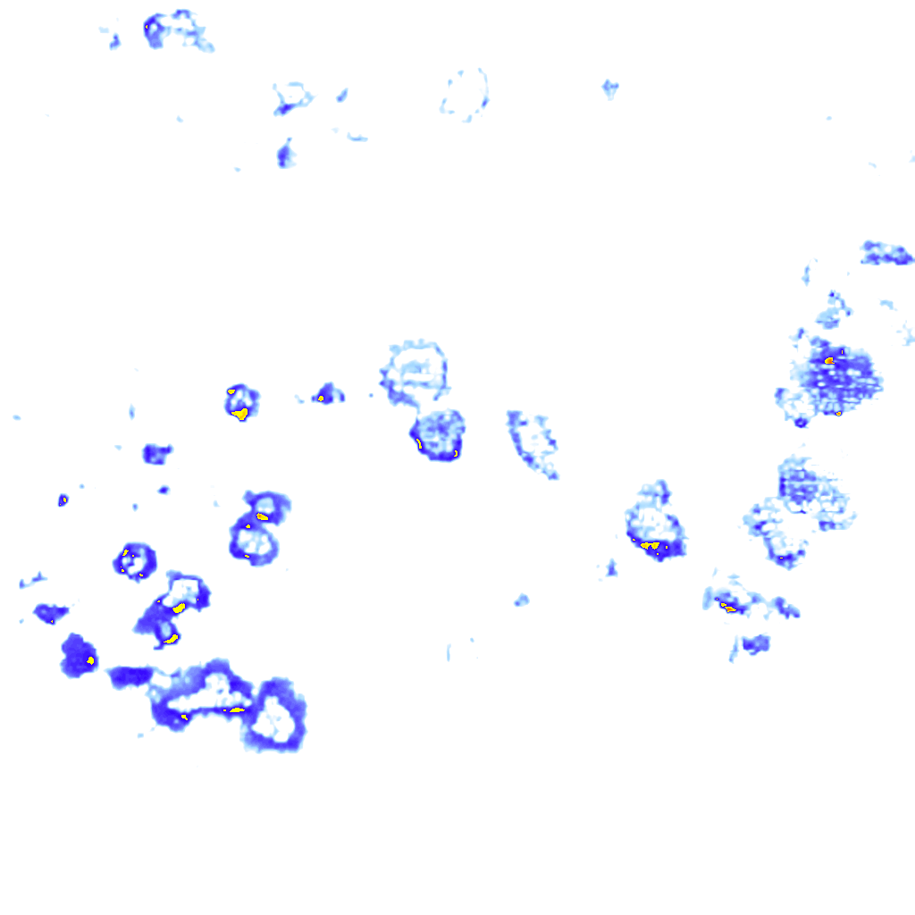 rainLayer