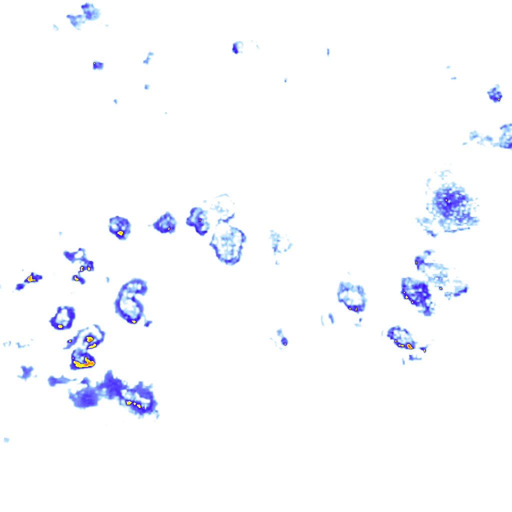 rainLayer