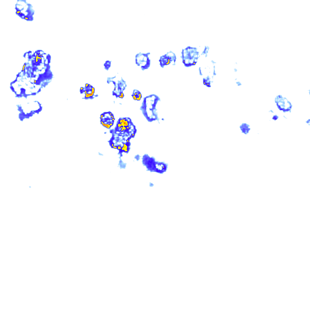 Image Layer