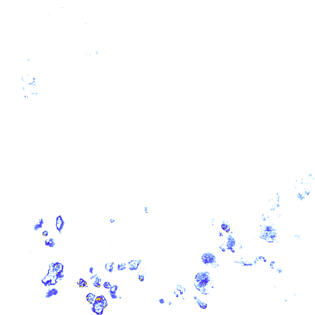 rainLayer