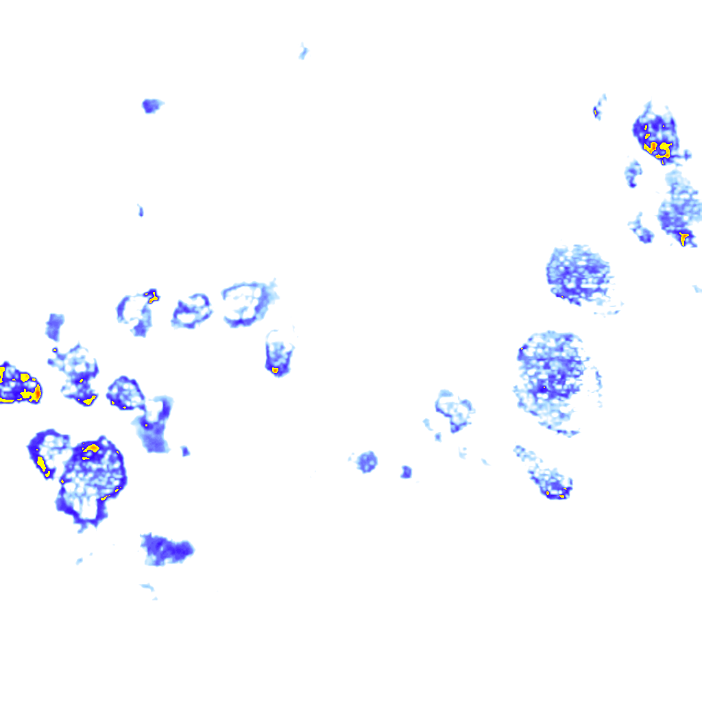 Image Layer