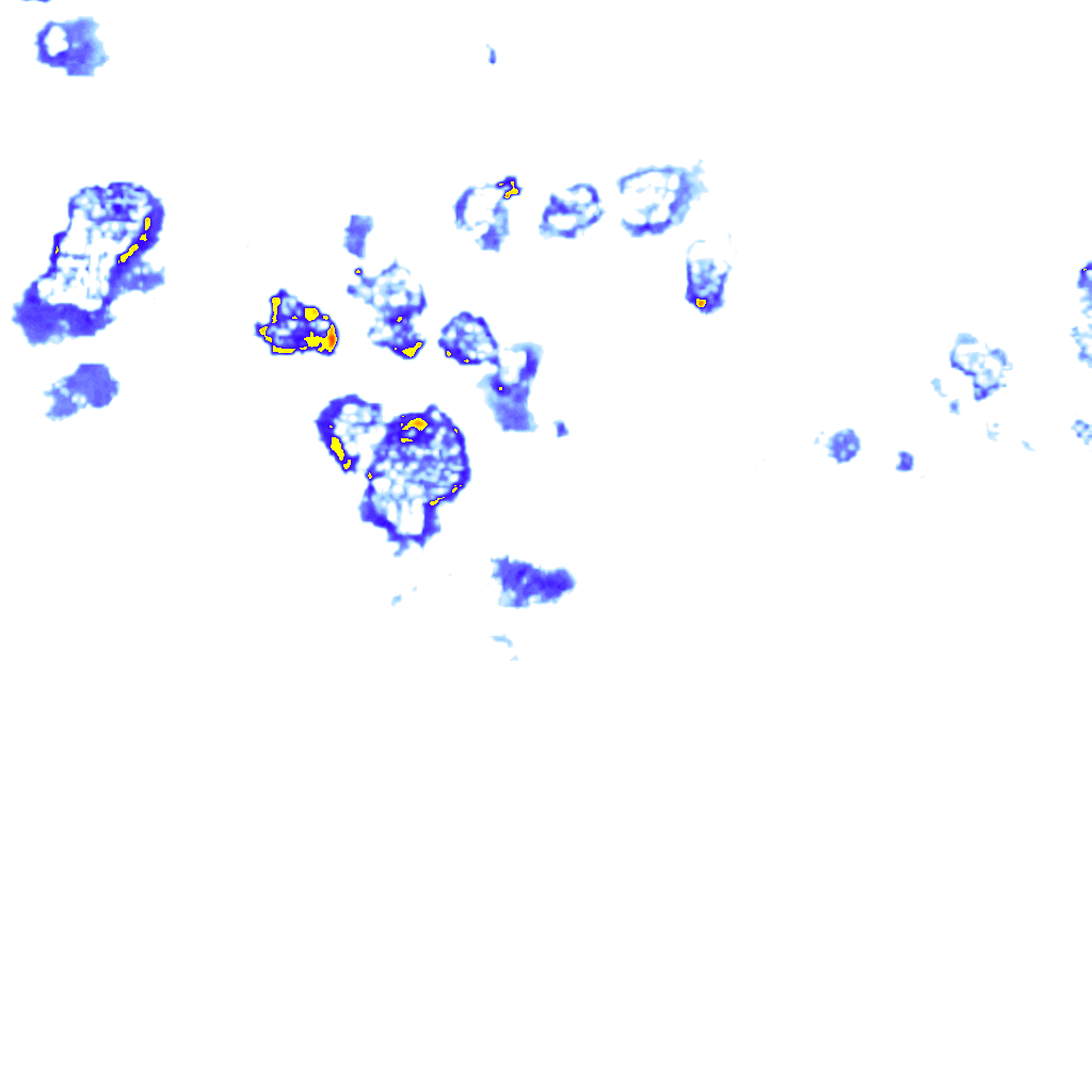 Image Layer