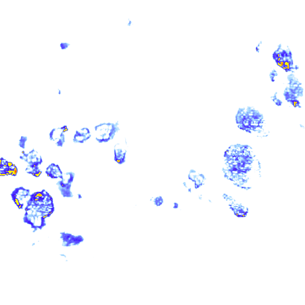 Image Layer