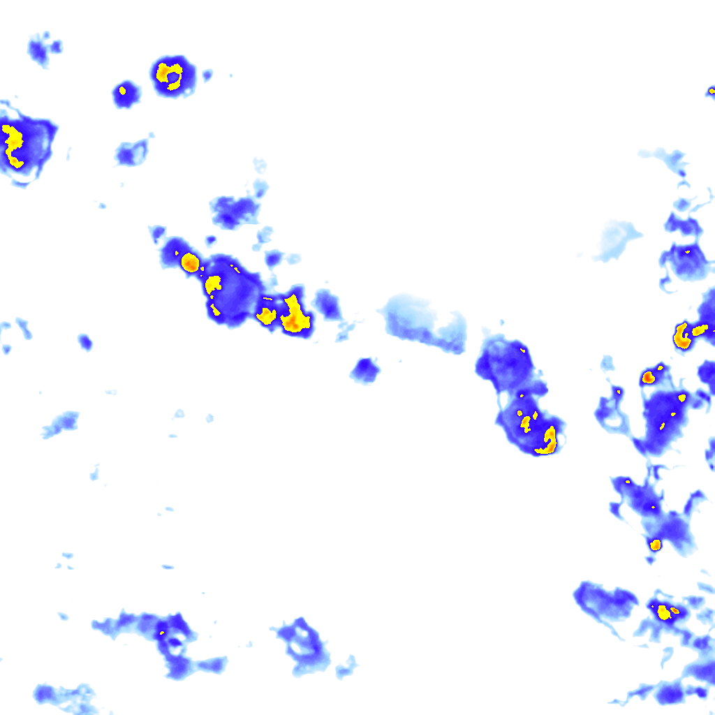 Image Layer