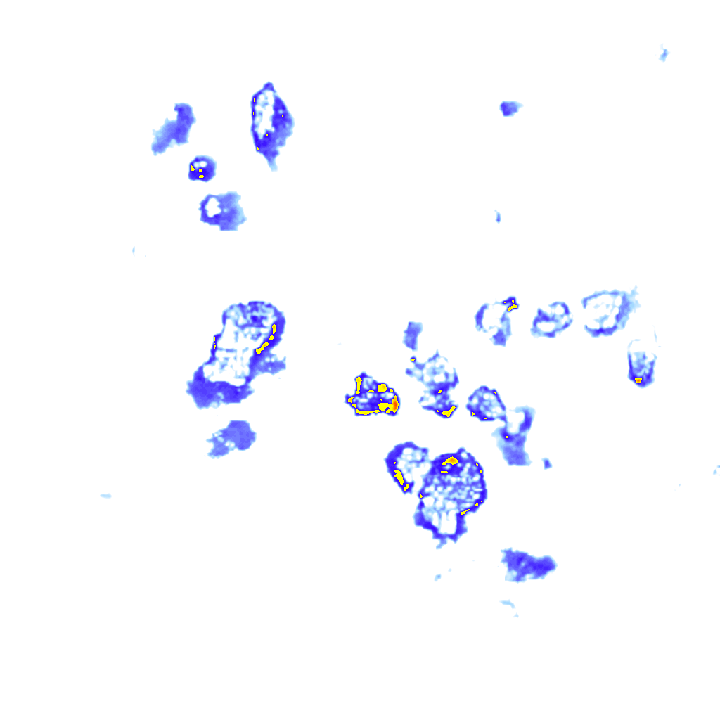 Image Layer