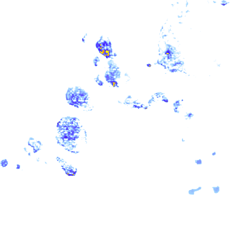 rainLayer