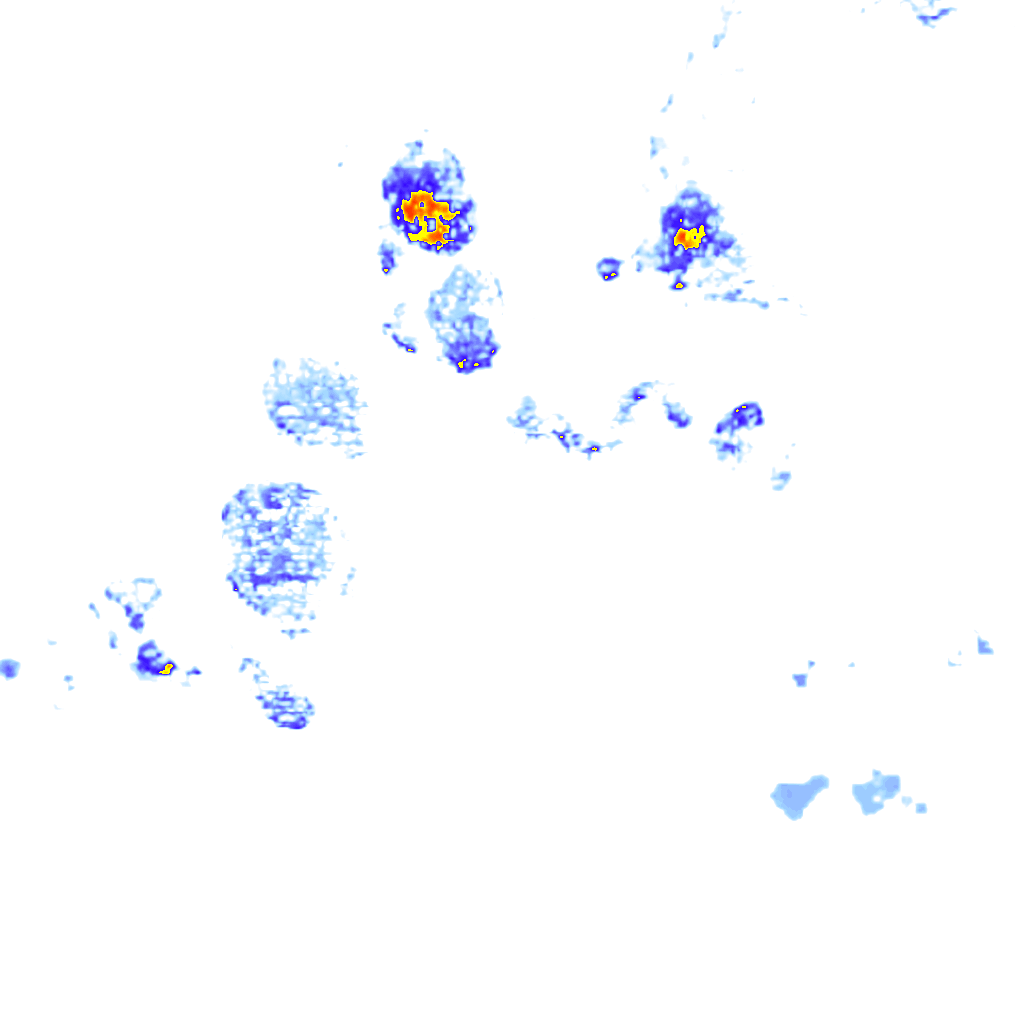 rainLayer