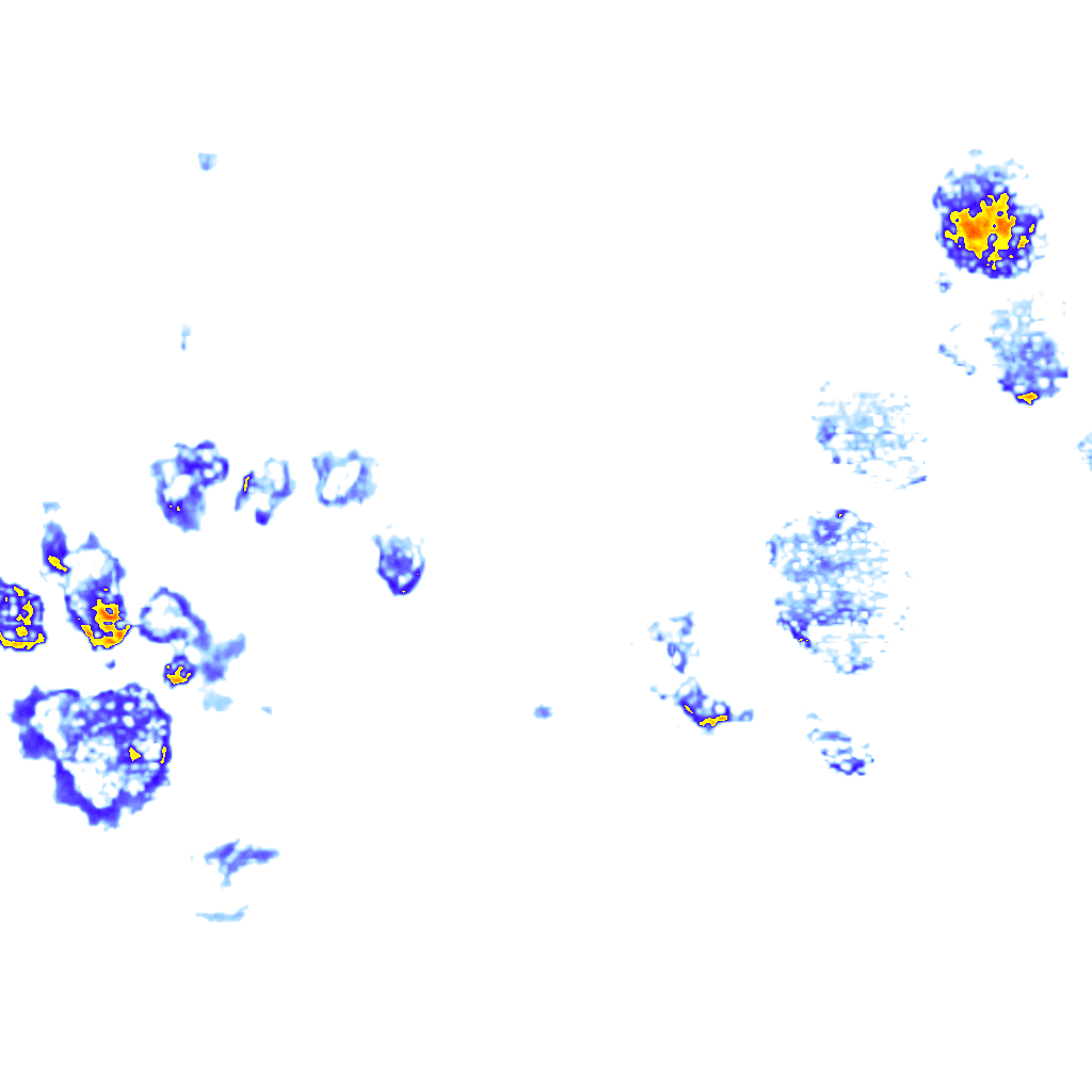 Image Layer