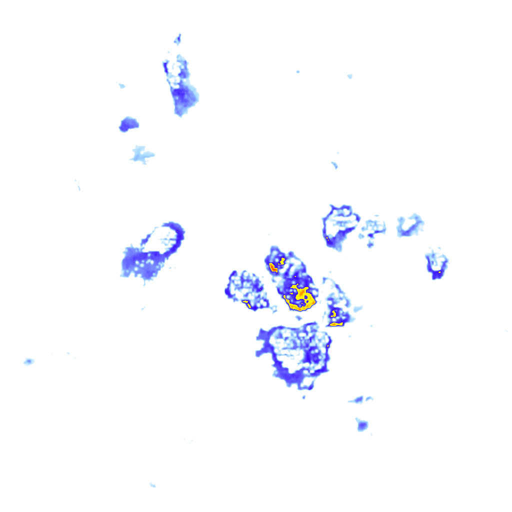 Image Layer