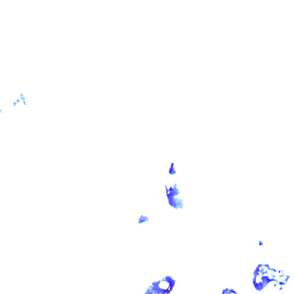 rainLayer