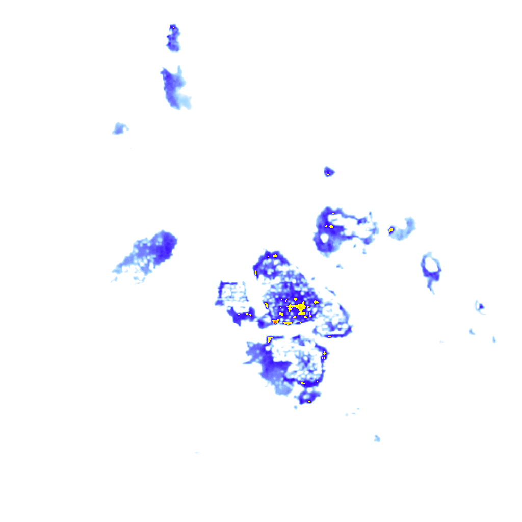 rainLayer